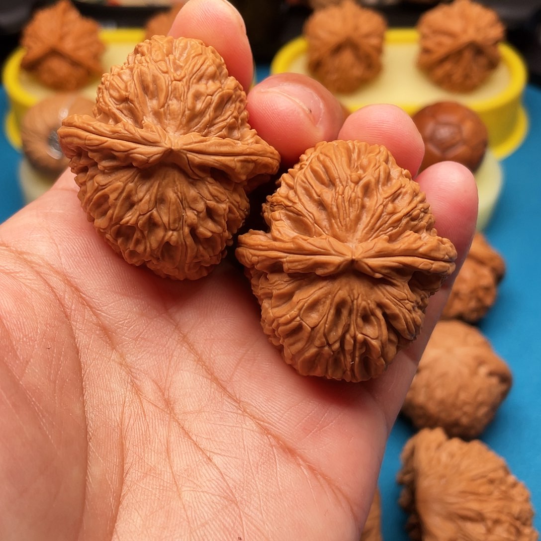 文玩核桃把件白狮子37