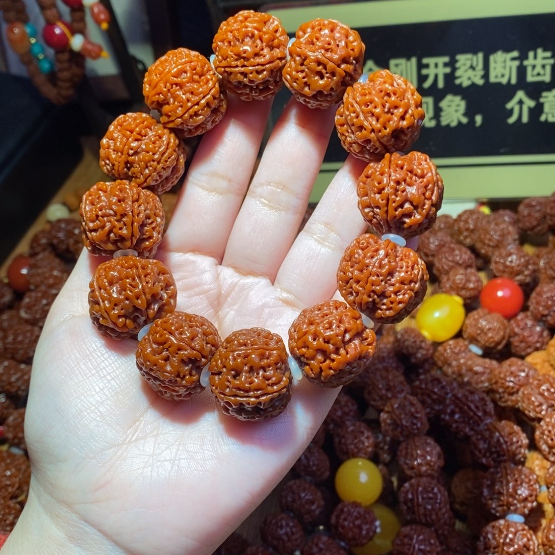 手串金刚菩提23/24-6素肉