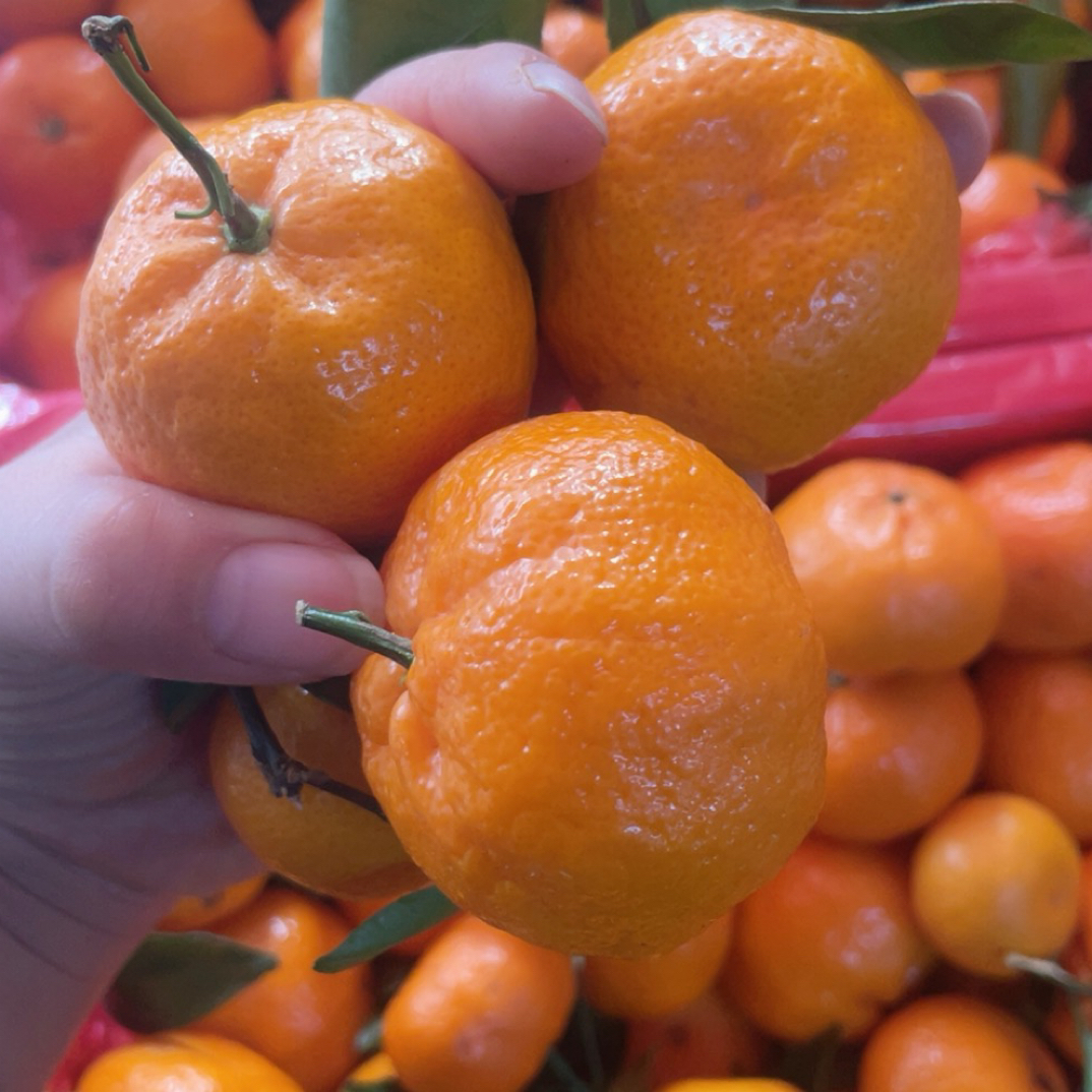 马水橘：小糖橘4斤19.9元江西省