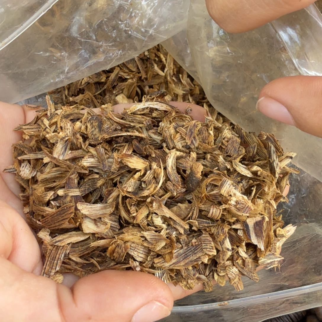 沉香沉香碎屑500克勾丝枕头沉香送200克送枕头套