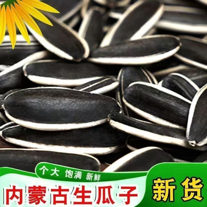 （到手5斤）内蒙产地原味大颗粒生瓜子葵花籽新货休闲零食坚果炒货