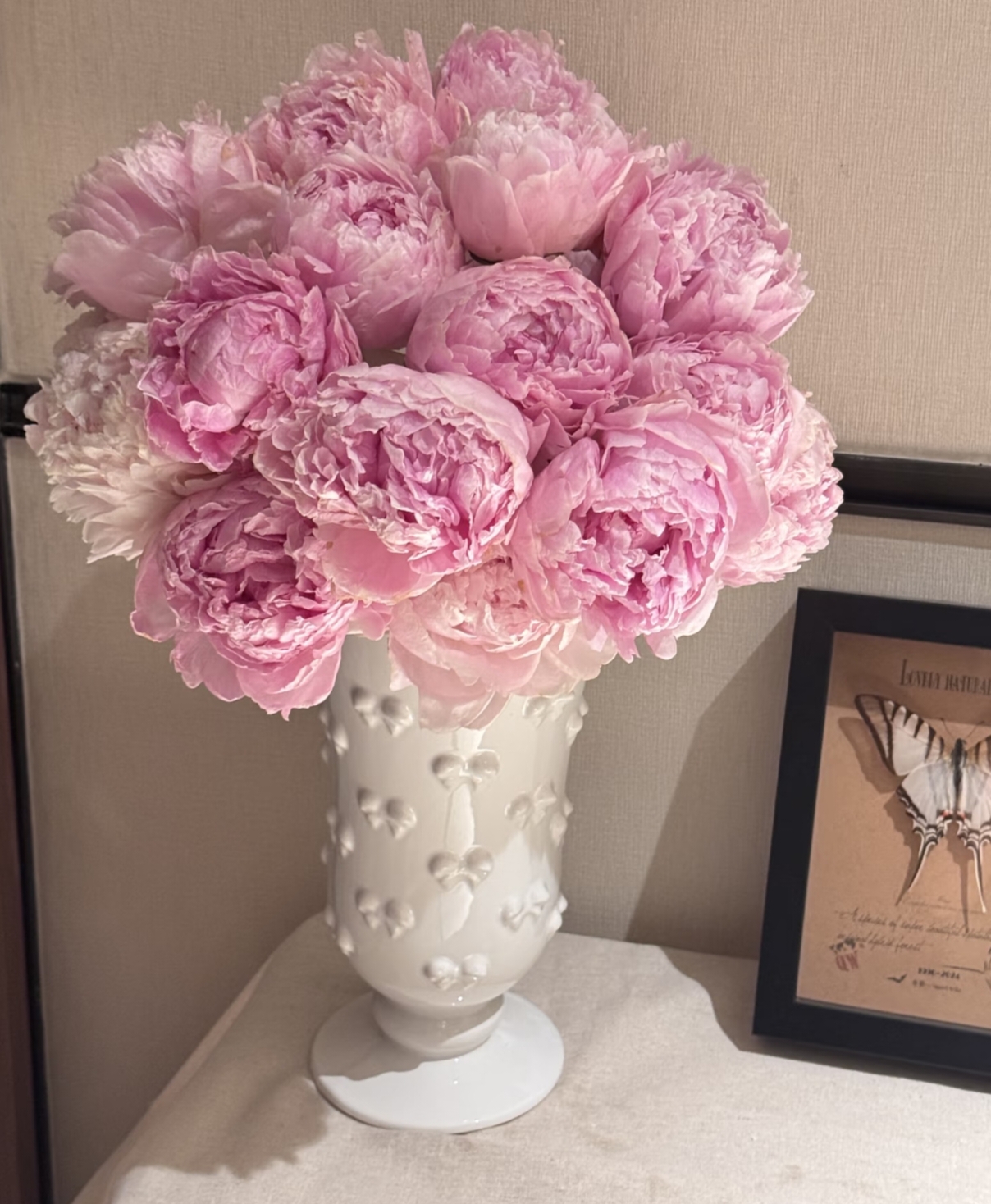 无品牌【半岛花铺】沙拉芍药  云南鲜花斗南鲜花网购鲜花