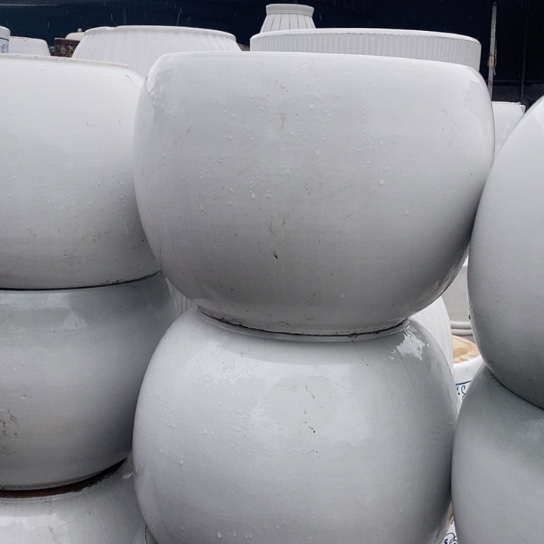 白球特大福利来啦来