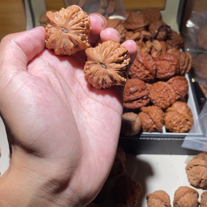 菲***林39尺寸全品无修红豆相思