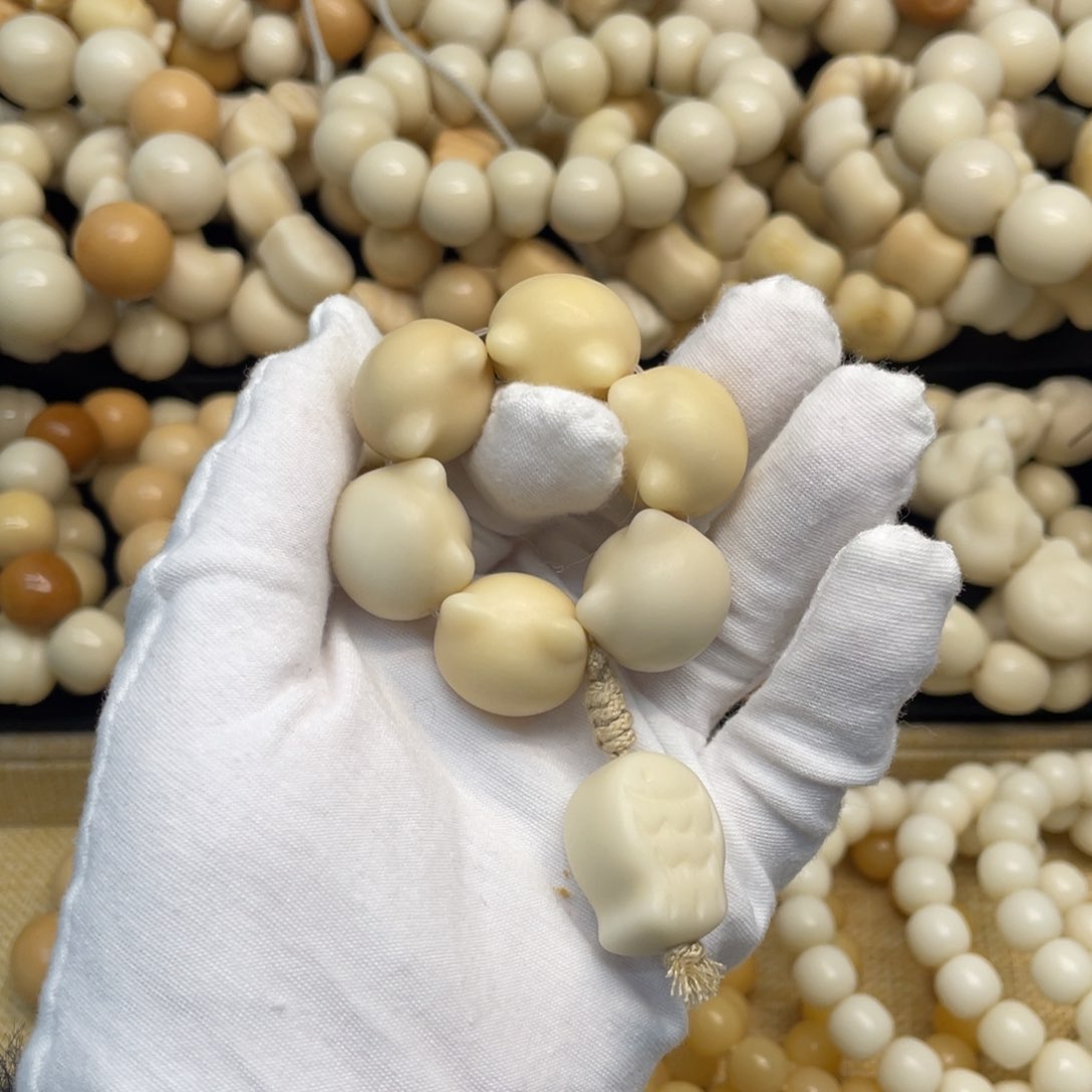 菩提根/象牙果吊坠21干磨牙果猫头手捻福利630