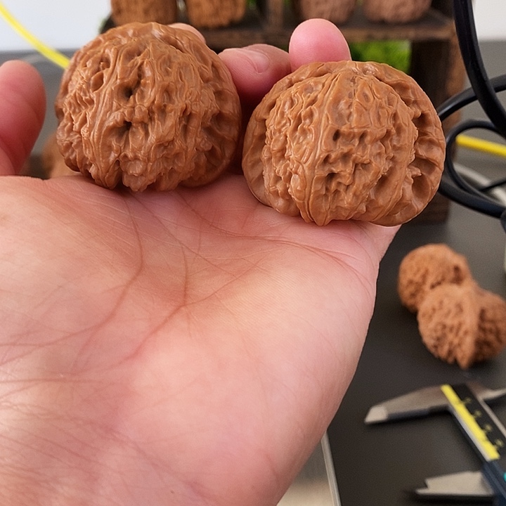 把件文玩核桃大白狮46尺红皮果边棒哟！