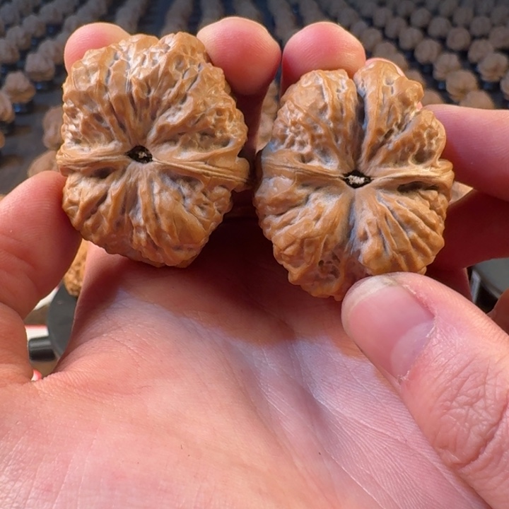 磊***吊坠文玩核桃蛤蟆头上的肉都是肉