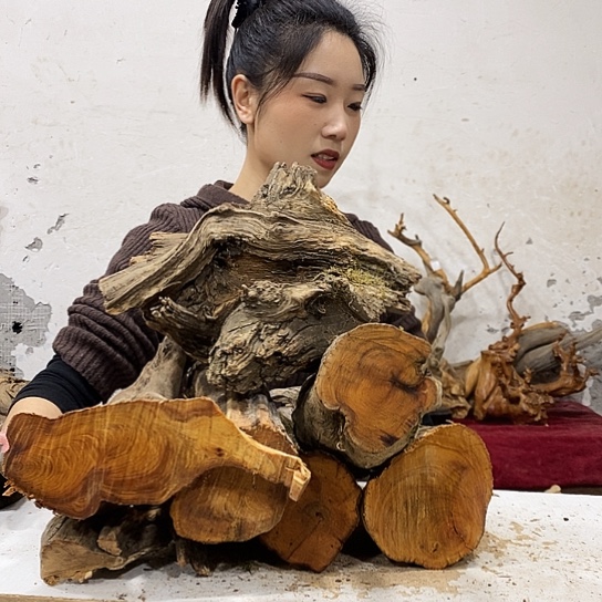 星***火柏木我们都是好孩子