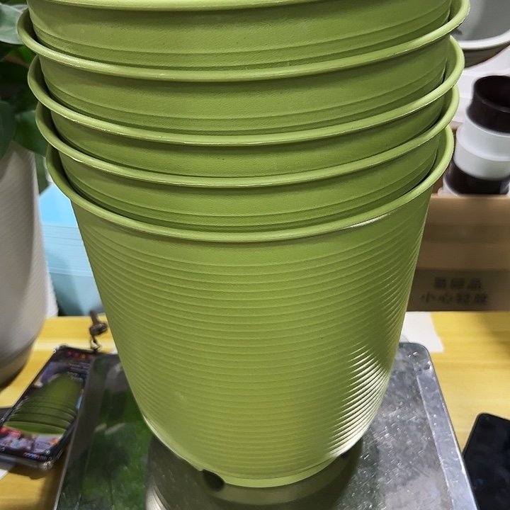 高陶口27高27果绿无托5只