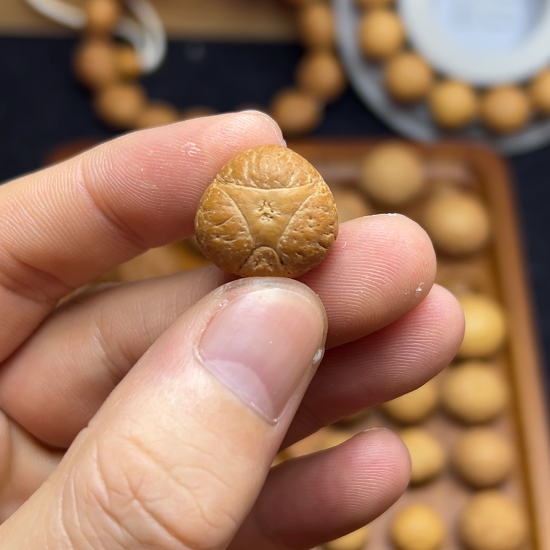 凤眼菩提手串18.2麒麟眼