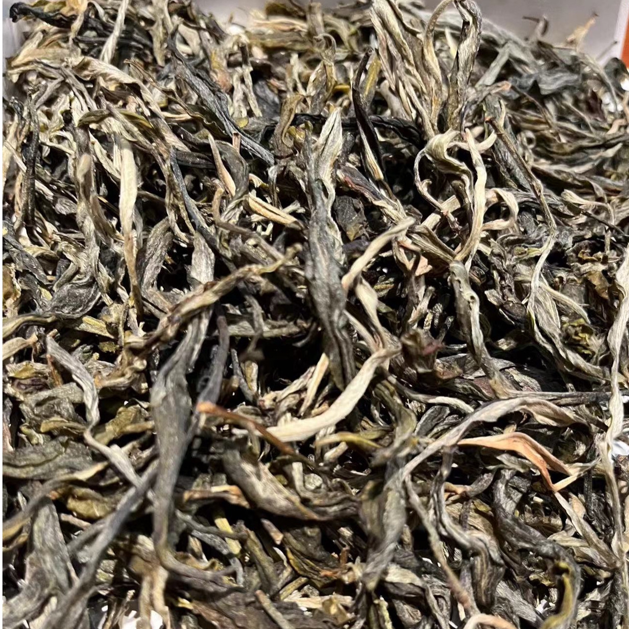 2025年新茶  明前春  距离昔归5公里茶区兰香稀有料200克生茶