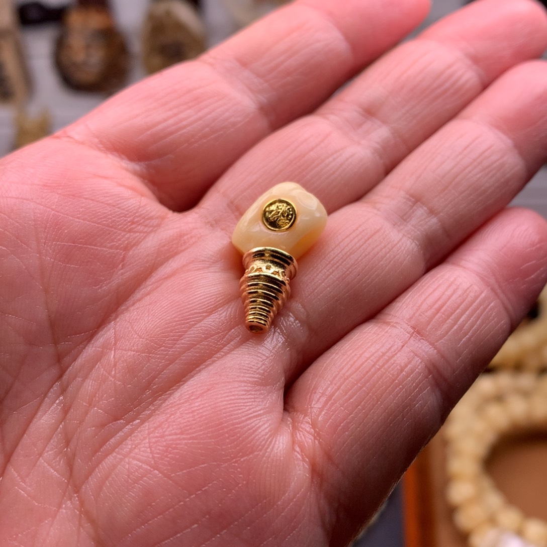 驼骨手串/手链天天都在盘 11