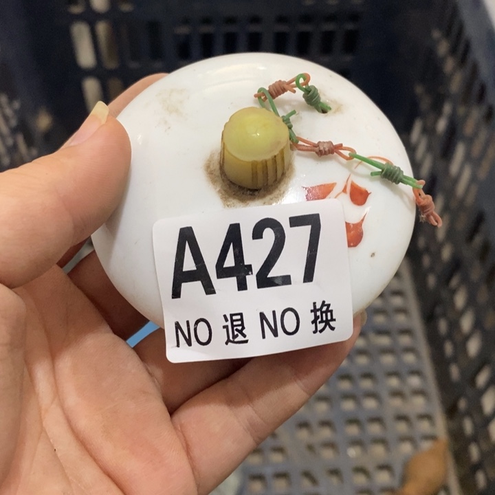 .****瓷片Zzzzzzzzzzzzzzz