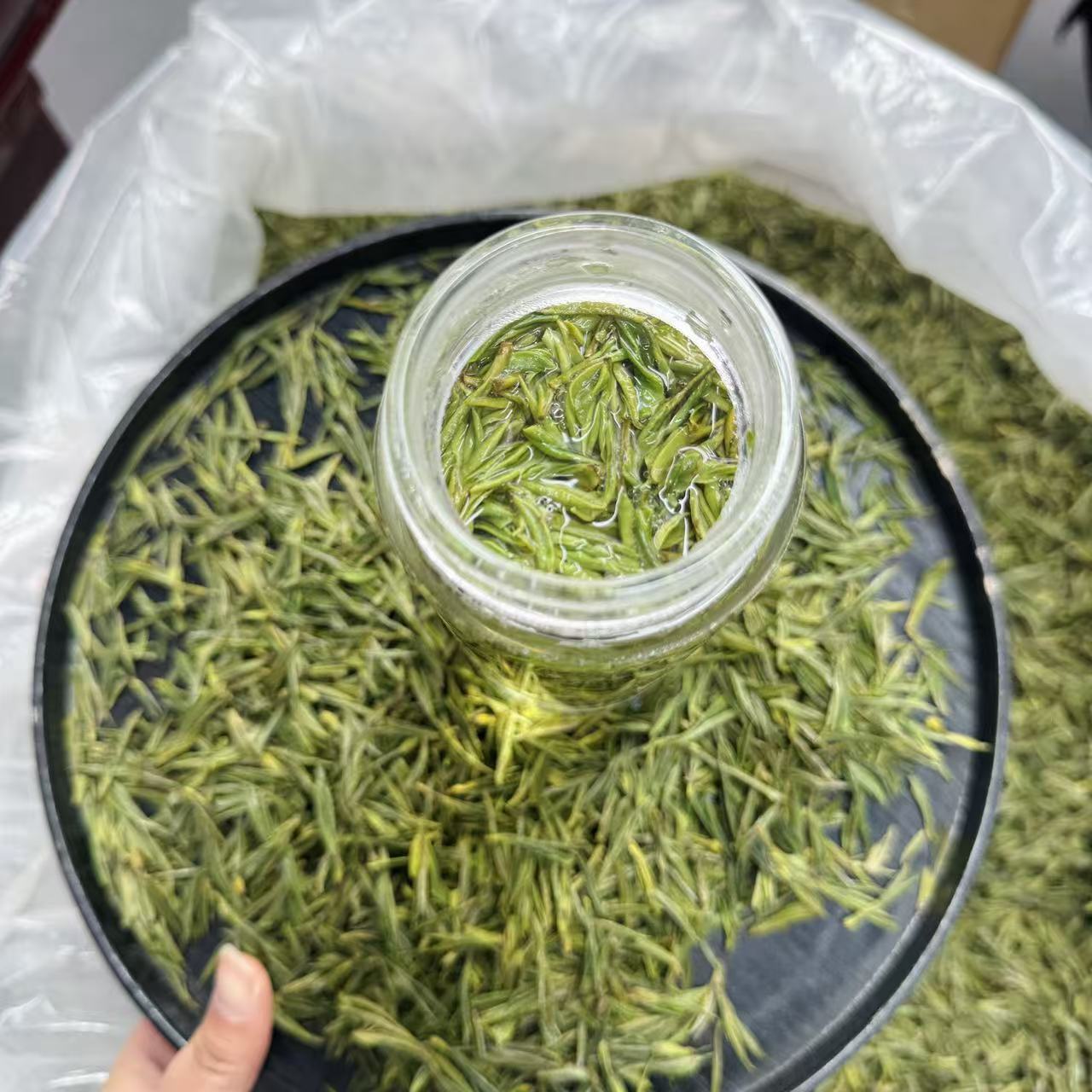 【年终清仓大促】 昆铜安吉白茶 B138 原产地 春茶 高山茶