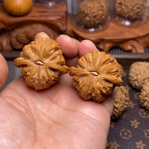 文玩核桃把件白狮子41