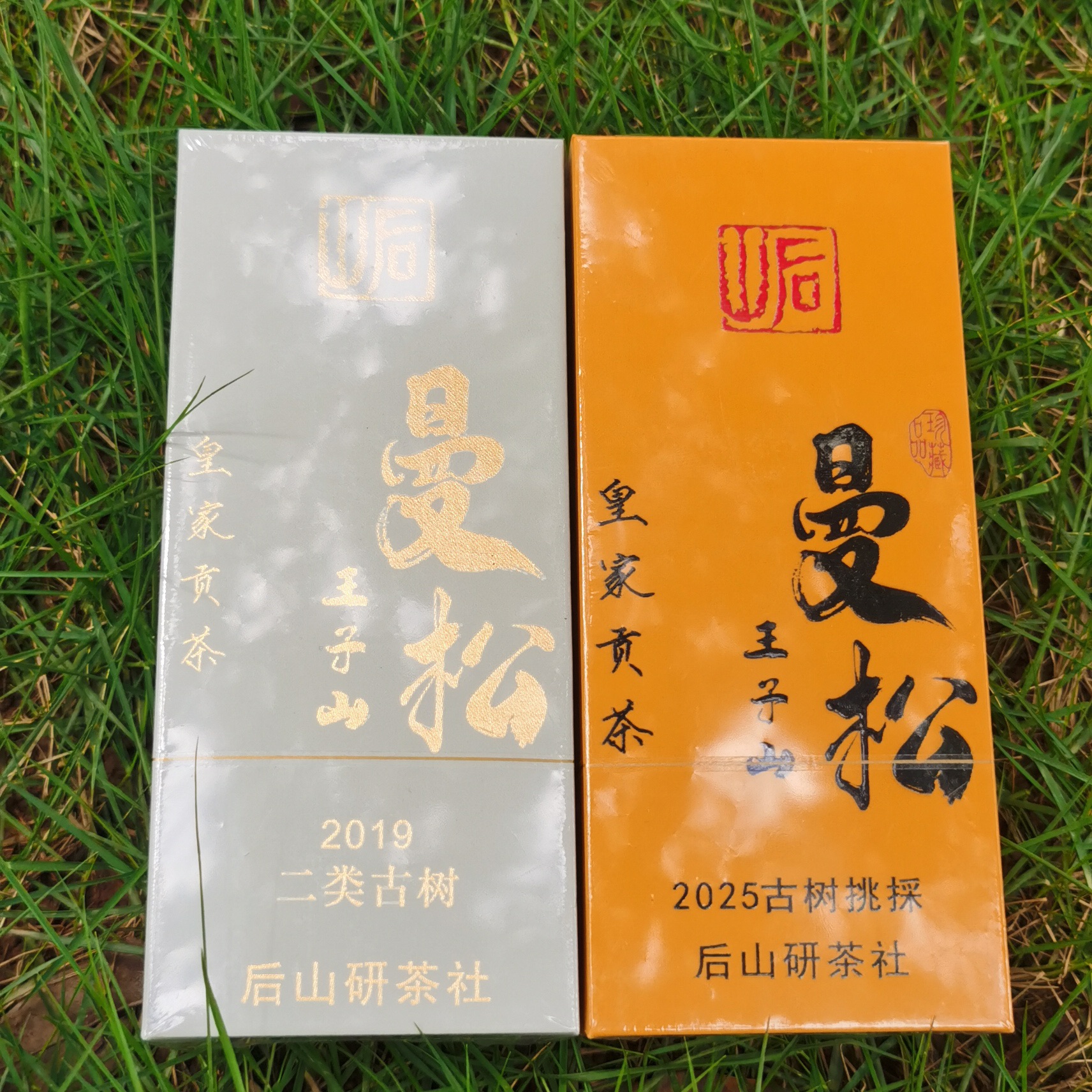 曼松王子山古树套装，2021年挑采古树头春一泡8g，20年二类古树8g
