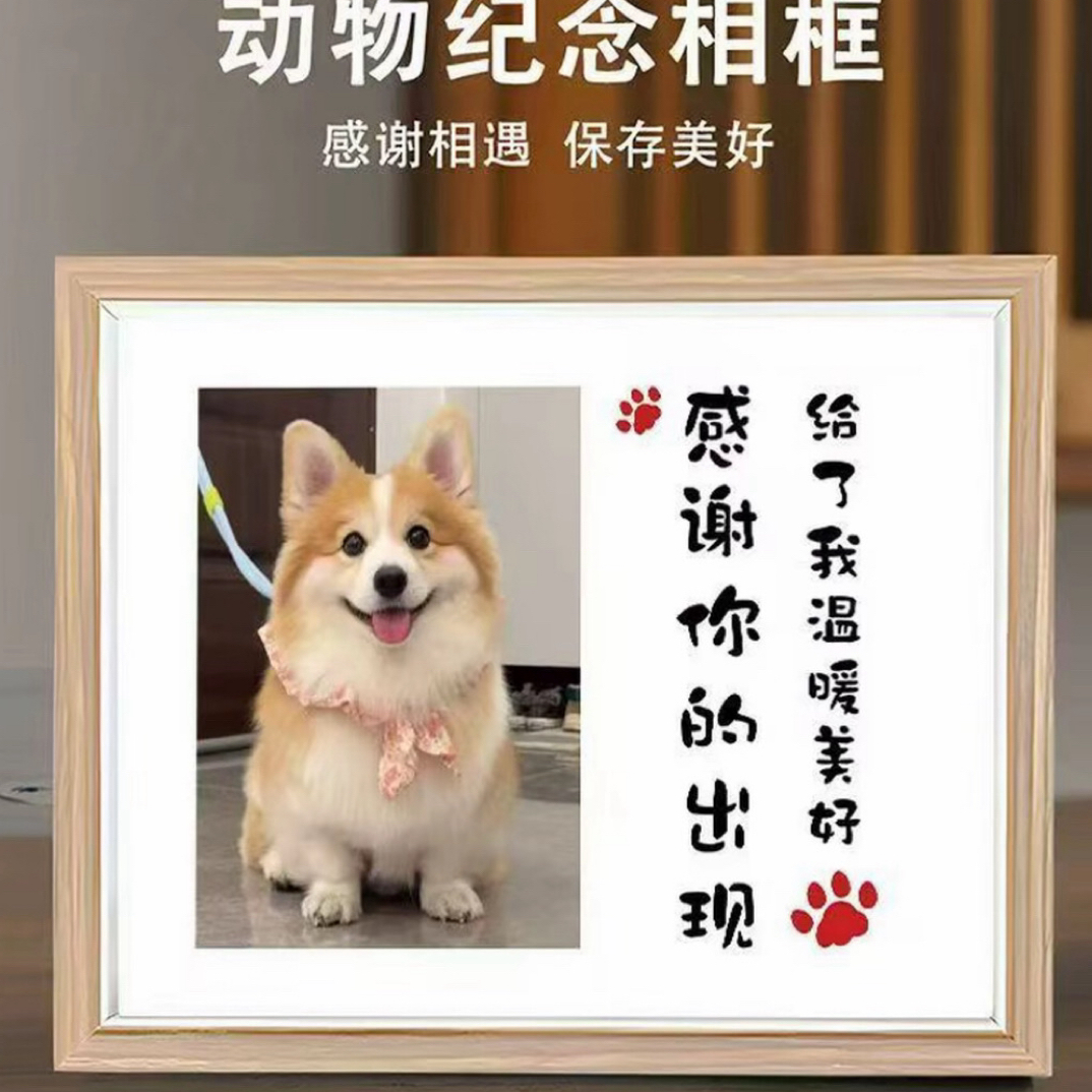活体宠物纪念相框