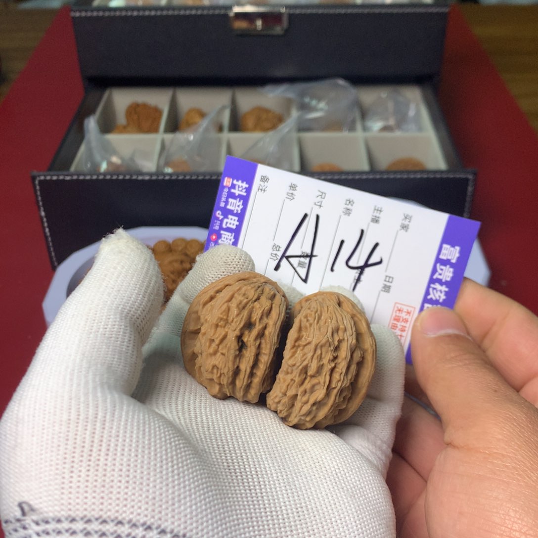 核桃其他白狮子半壁江山合璧58尺寸