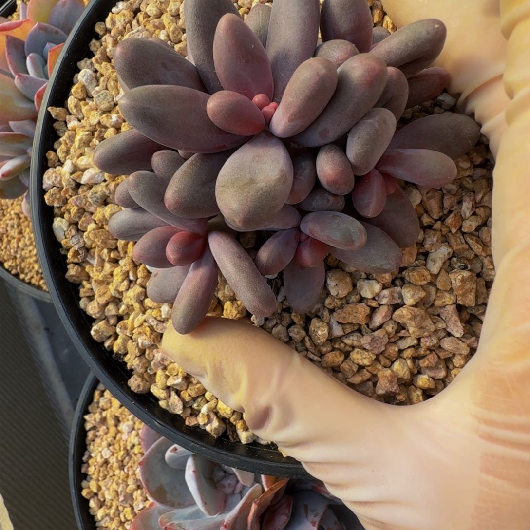 w e e e e e e e e e e 58