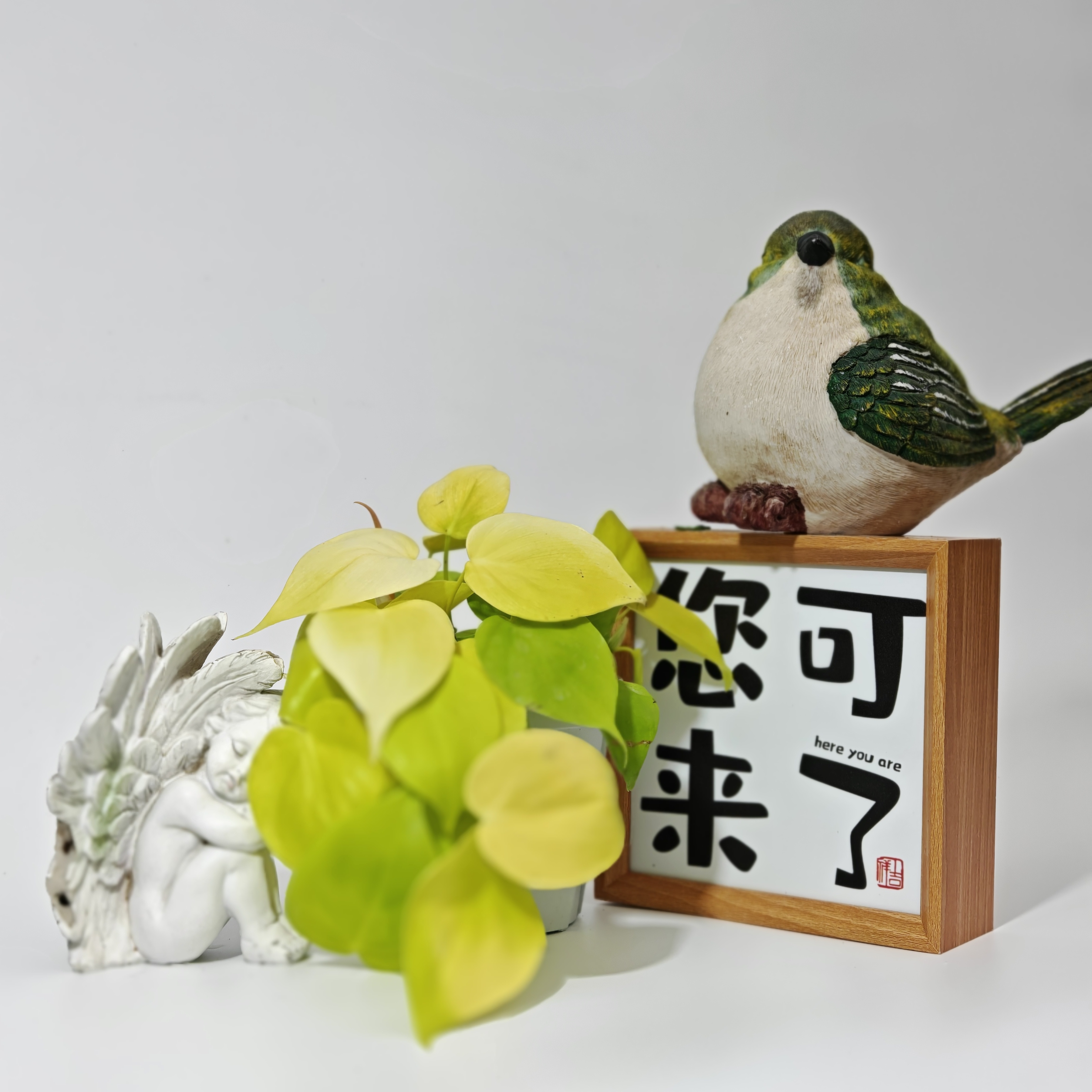 小盆柠檬汁蔓绿绒室内观叶绿植垂吊耐阴创意盆栽植物