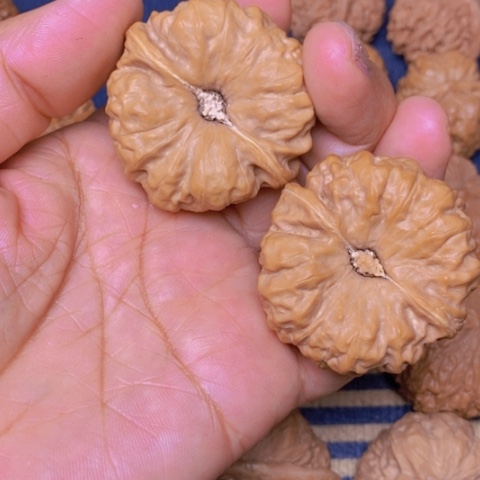 【闪购商品】文玩核桃吊坠超**古蛙蛙45