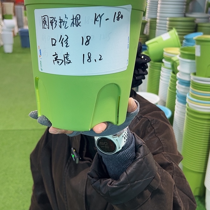 正品圆控口18高18果绿带托8只