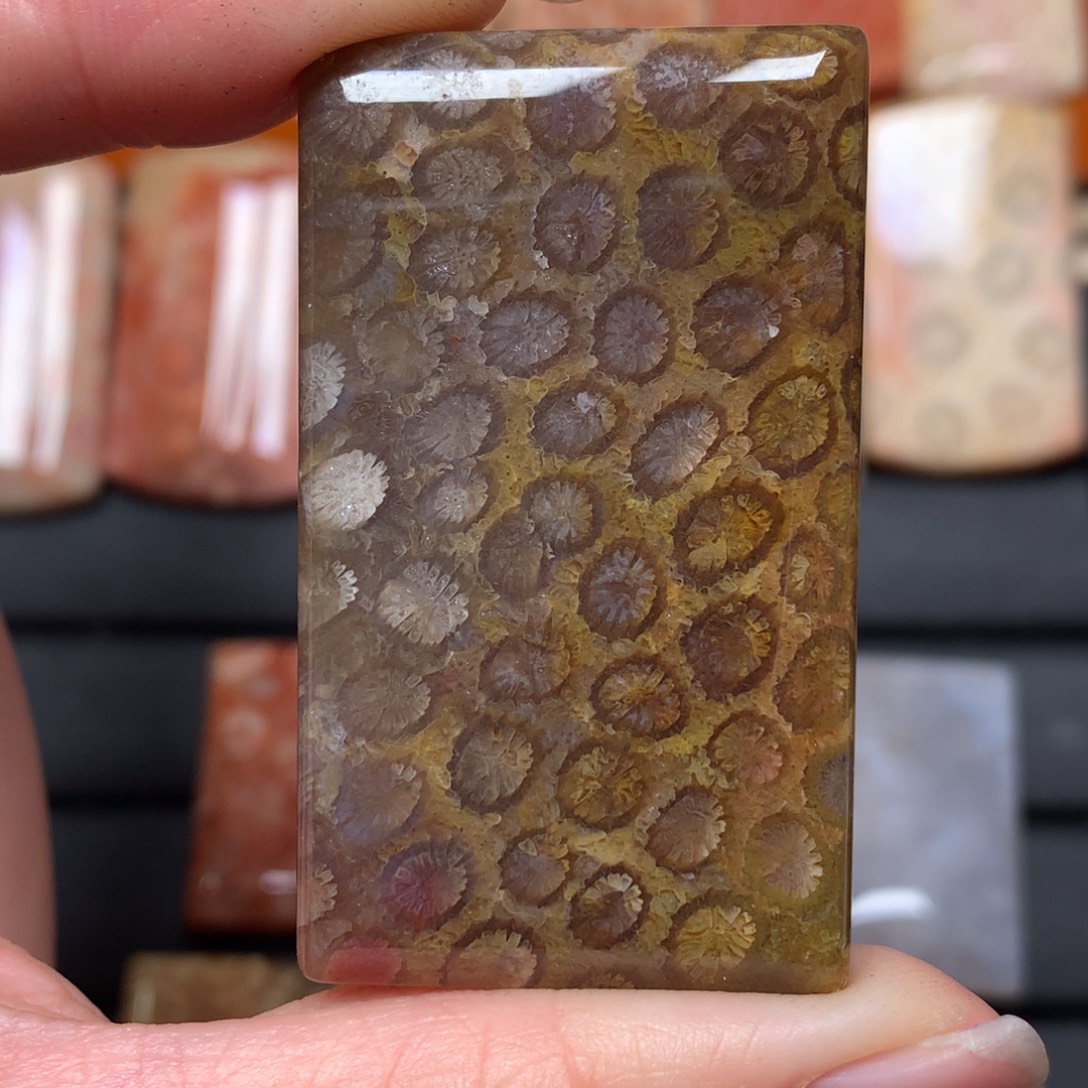 Y****硅化玉未镶嵌吊坠无事牌手排平安扣