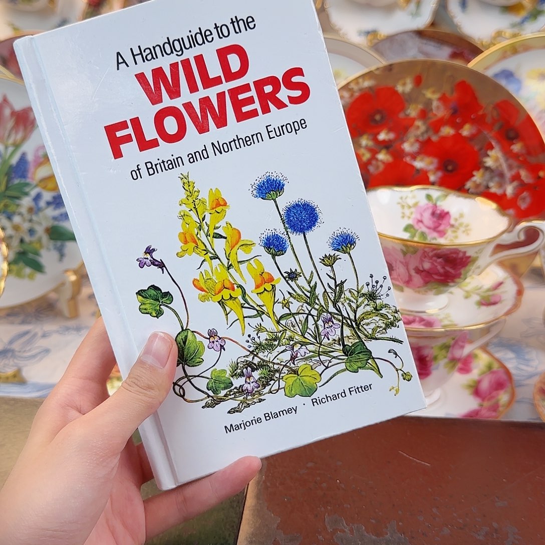 欧洲咖啡杯瓷器收藏