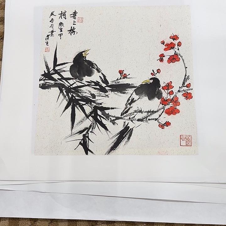 国画花鸟的翅膀是白色和白色