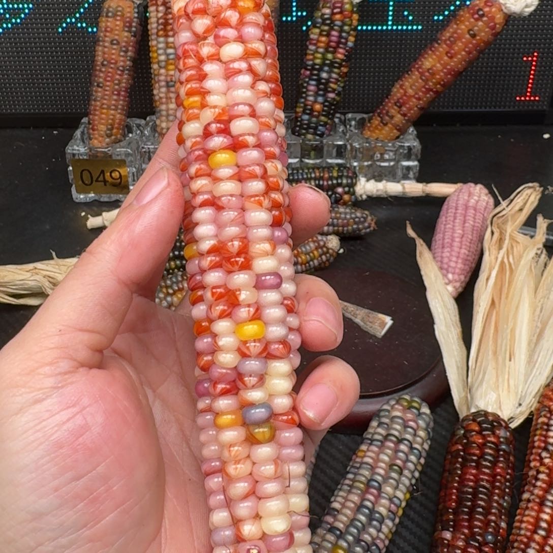 柏香籽/百香籽吊坠痣*啊