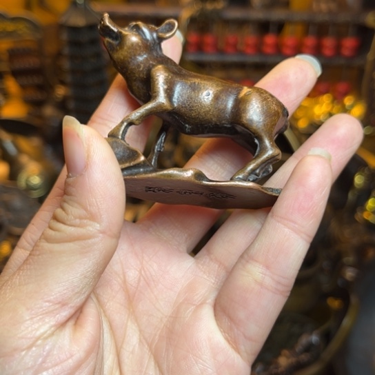 点击这里下单铜铜