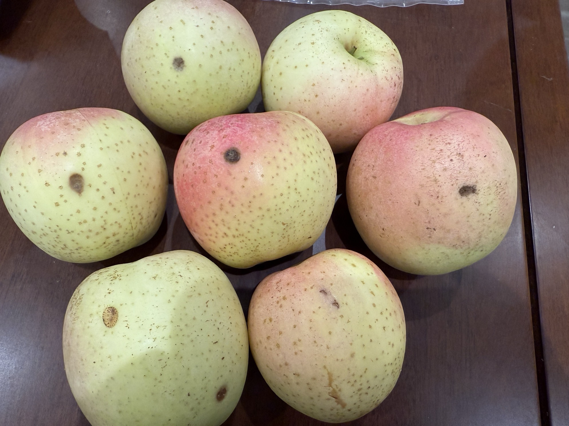 【顺丰包邮】王林苹果雀斑脆甜多汁（微瑕疵果）建议慎拍