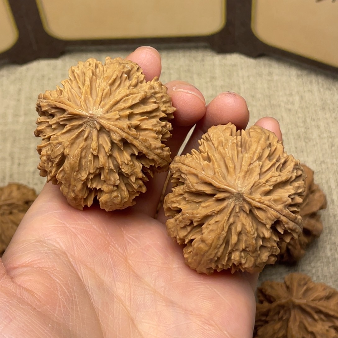 得***德把件文玩核桃秦岭核桃45号