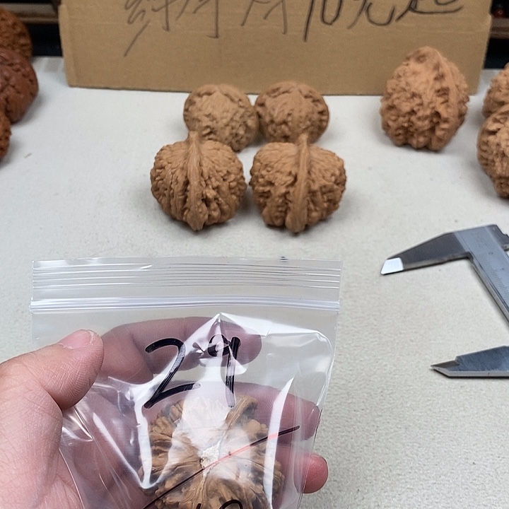 泛***栩龙脊菩提吊坠29.29.29.29