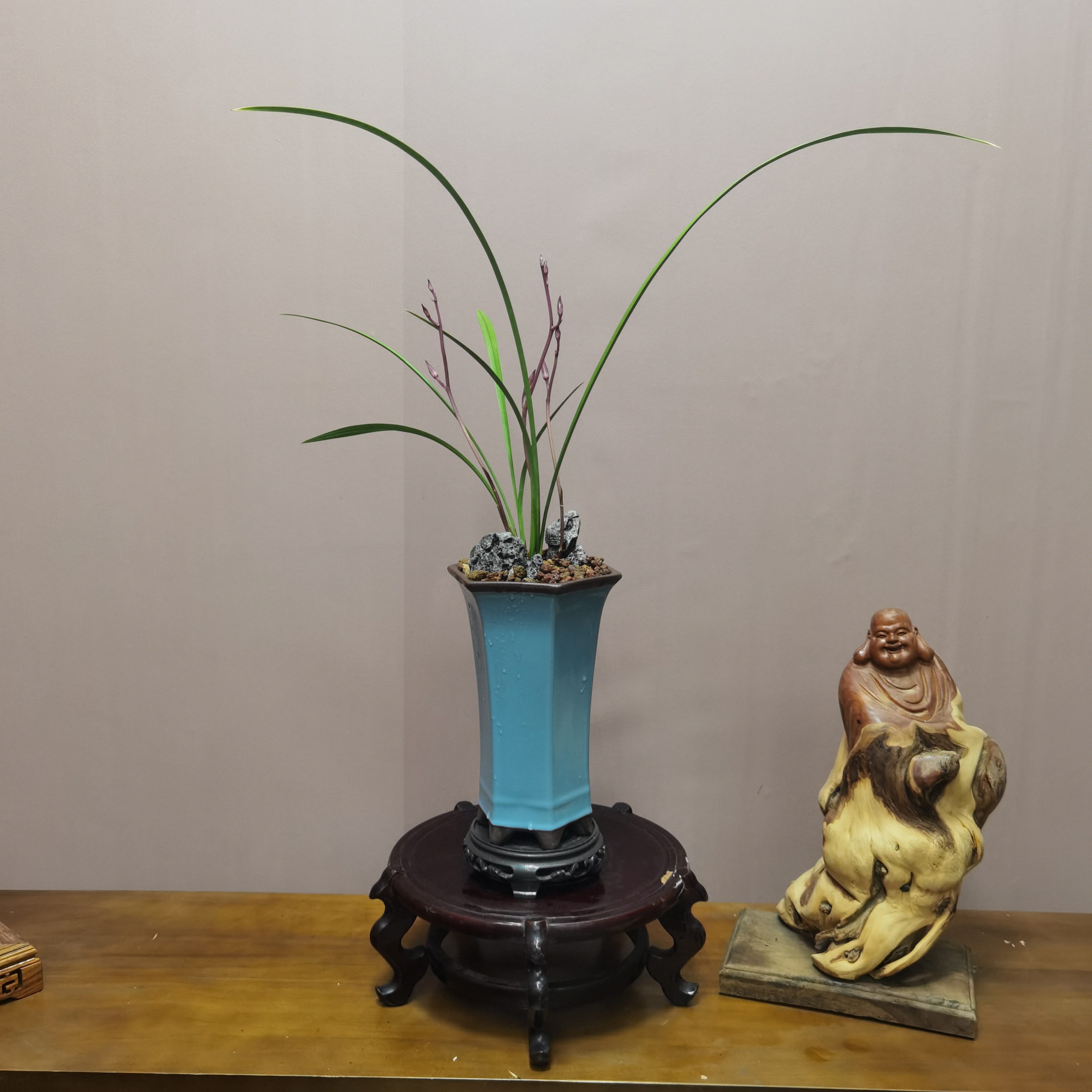 精选建兰红素摩浓香家庭客厅茶室高档手绘盆栽禅意原盆带花苞