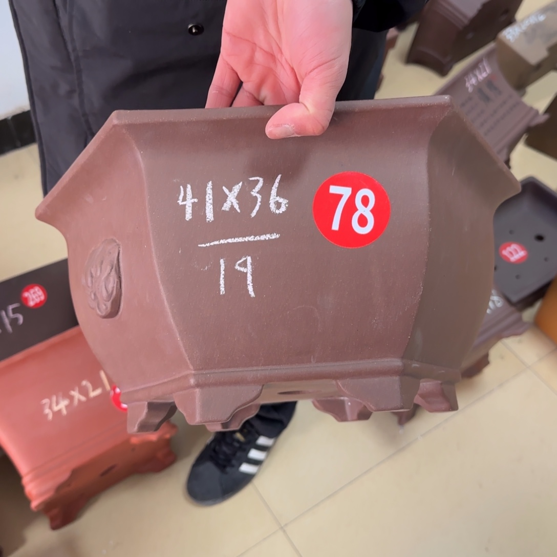 紫砂花盆呜呜呜呜