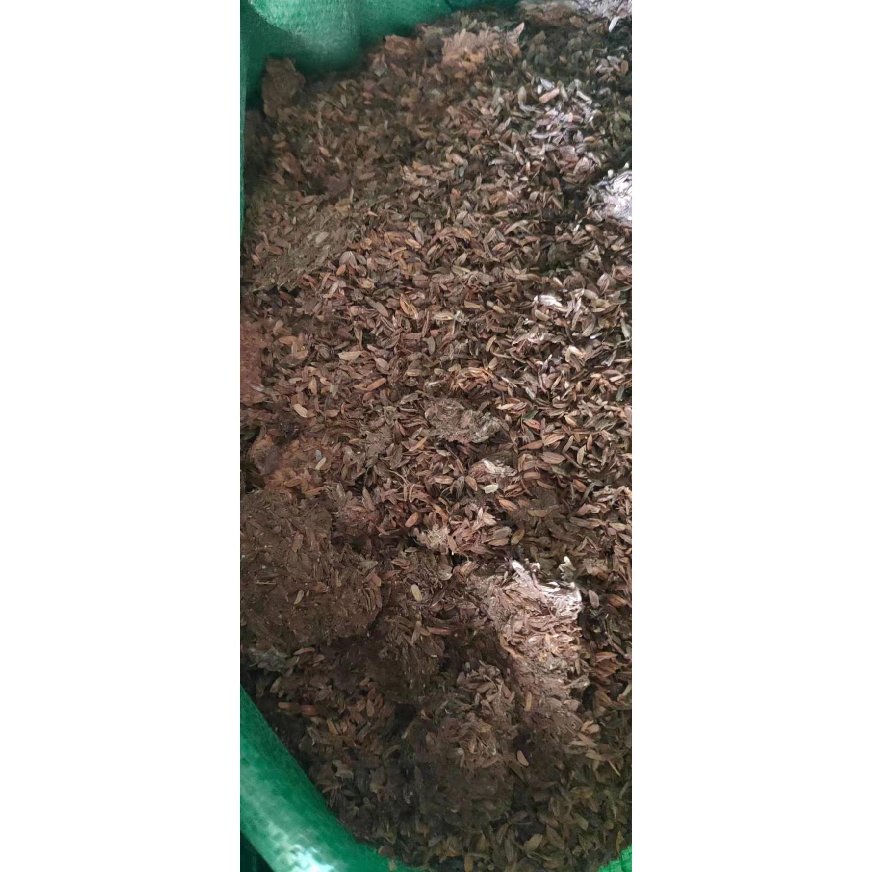 稻谷鸭粪适合三角梅多种植物种植，肥力温和不伤根，肥效多