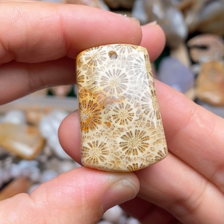 硅化珊瑚（珊瑚玉）手镯未镶嵌皮纹