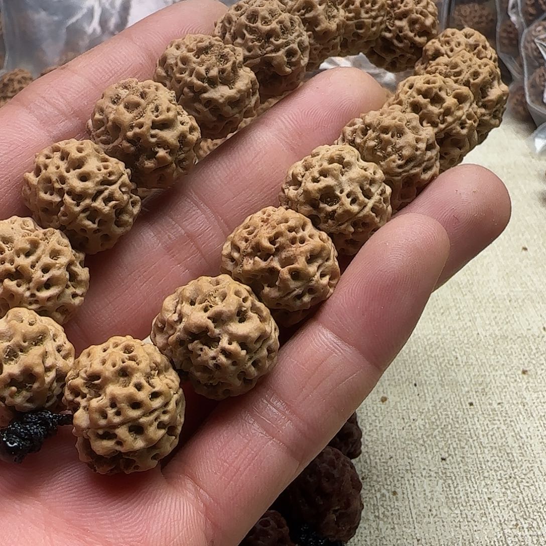 乌***话手串金刚菩提1原生态五星蜂王