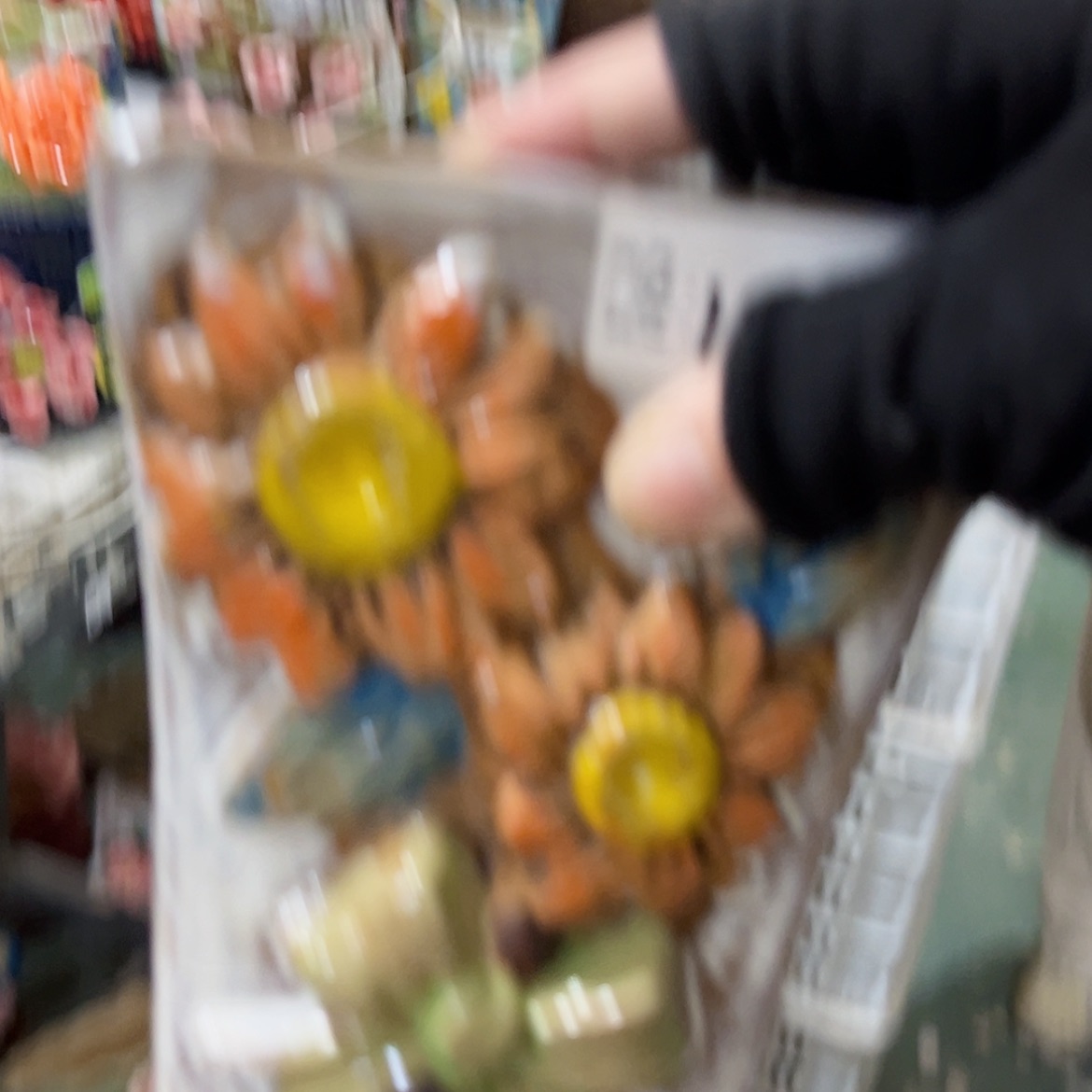 【闪购商品】红陶福利