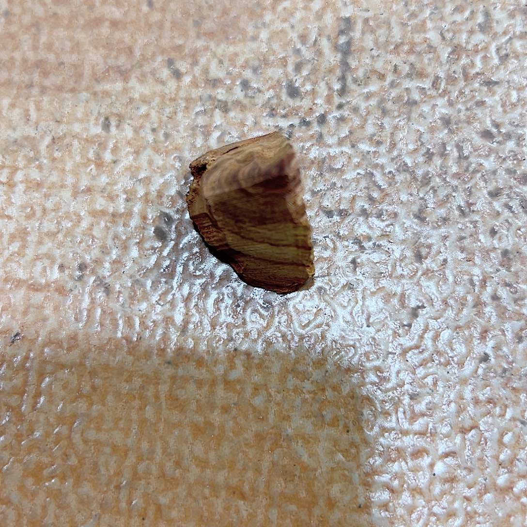 黄花梨/降香黄檀海南黄花梨