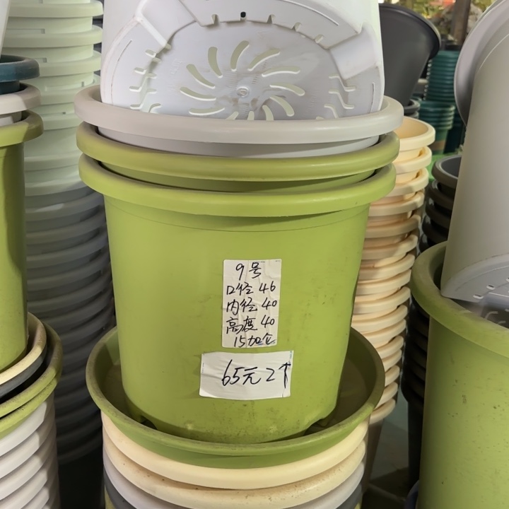 微瑕9#口径46无托果绿3个