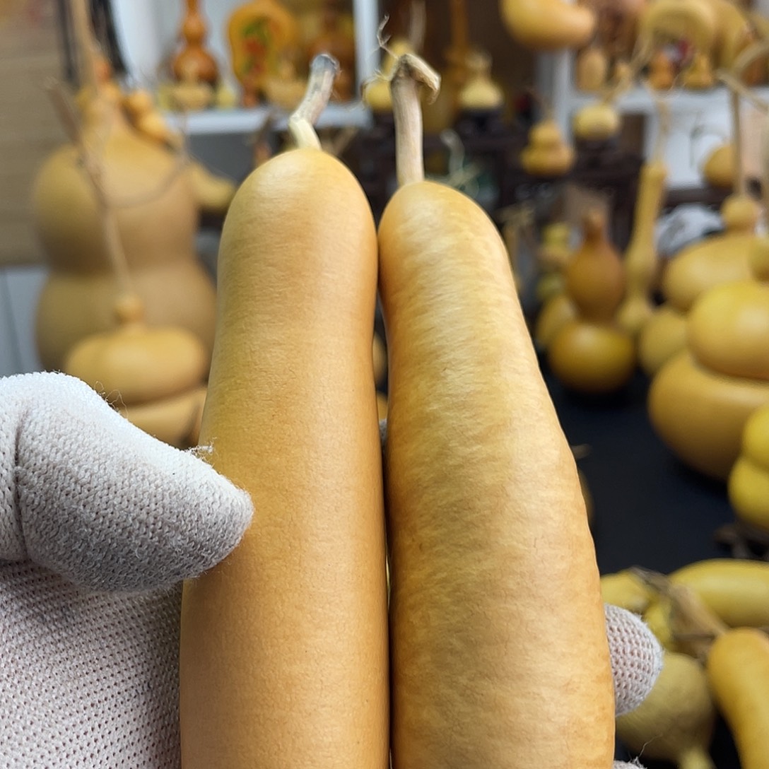 常***二大叶紫檀（黑酸枝木类）