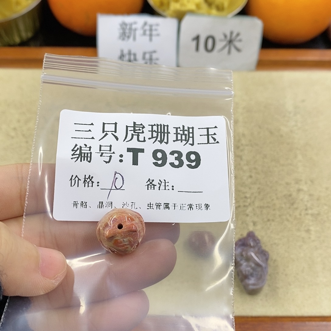 硅化珊瑚（珊瑚玉）1未镶嵌图*