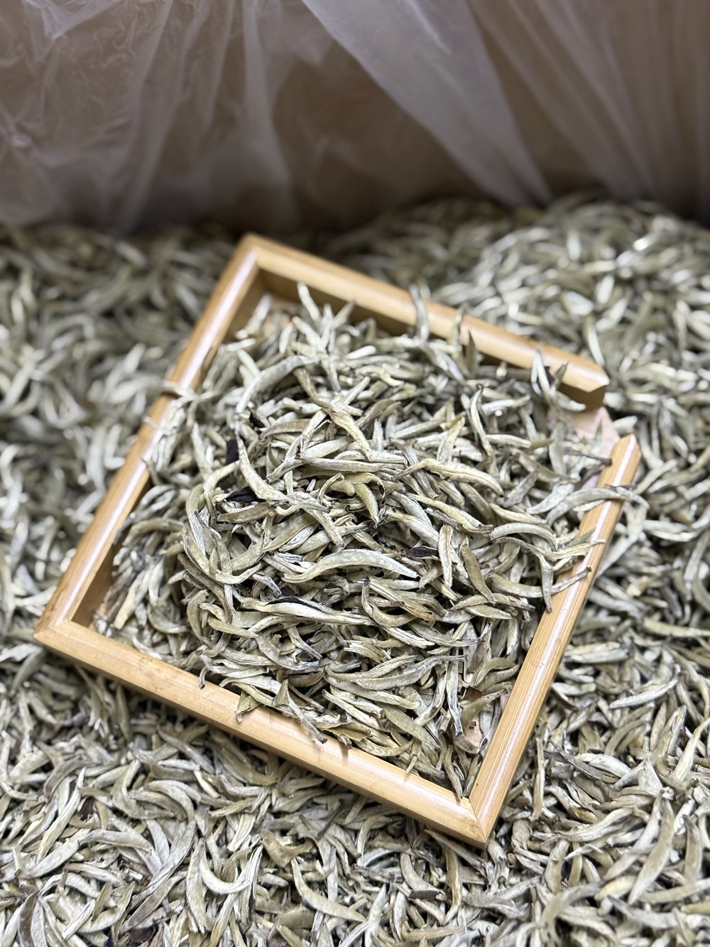 全芽特级白毫银针茶叶芽头粗壮豪香花香鲜爽甘甜耐泡白茶