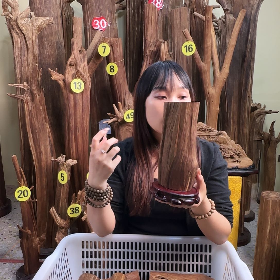 沉香沉香碎屑天然沉香原材料香料熏料