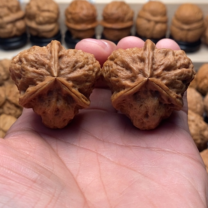 霍***超把件文玩核桃…………………………