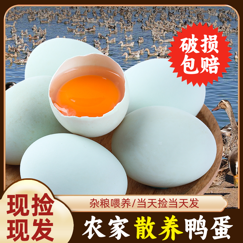【书记助农】绿壳生鲜鸭蛋散养麻鸭农家土鸭蛋现捡现发新鲜无激无抗