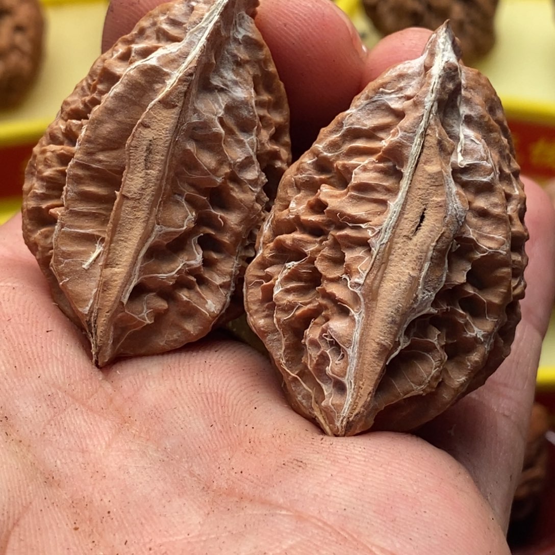 吊坠文玩核桃楸子127