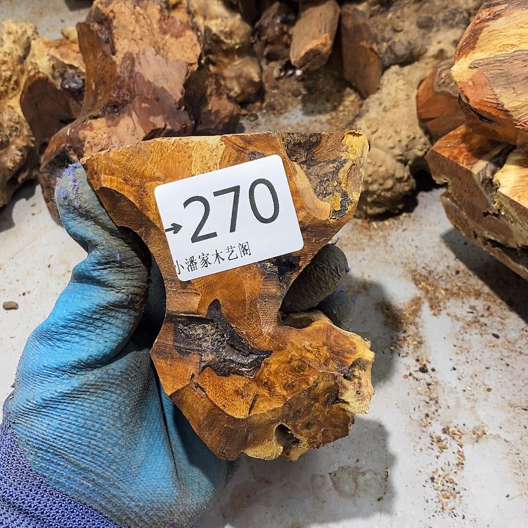 香榧木小*麻梨疙瘩……